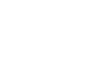 logo_alto