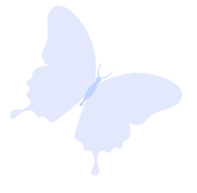 motyl